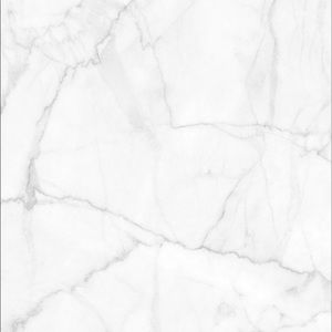 Meet your Posher, Rex